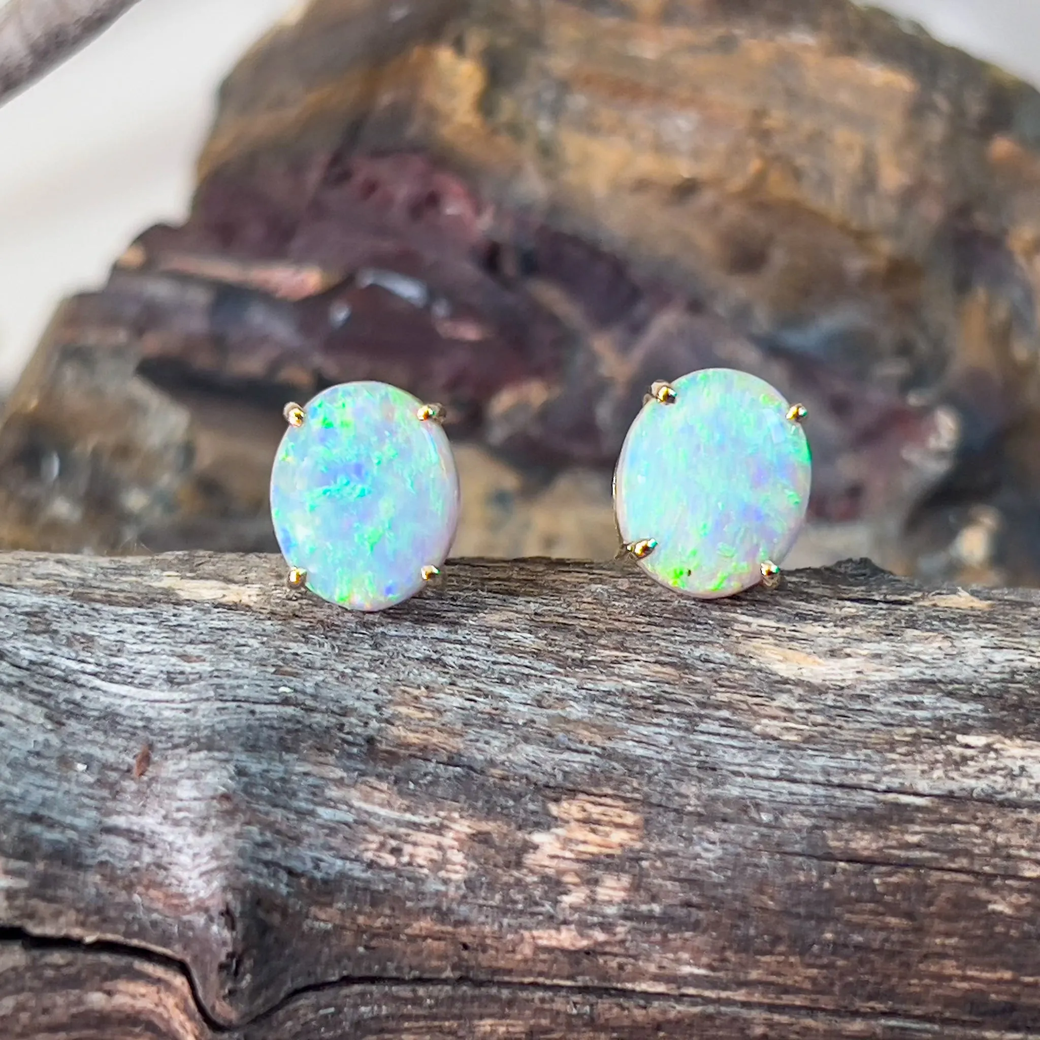 14kt Yellow Gold pair of black opal 2.53ct claw set earrings