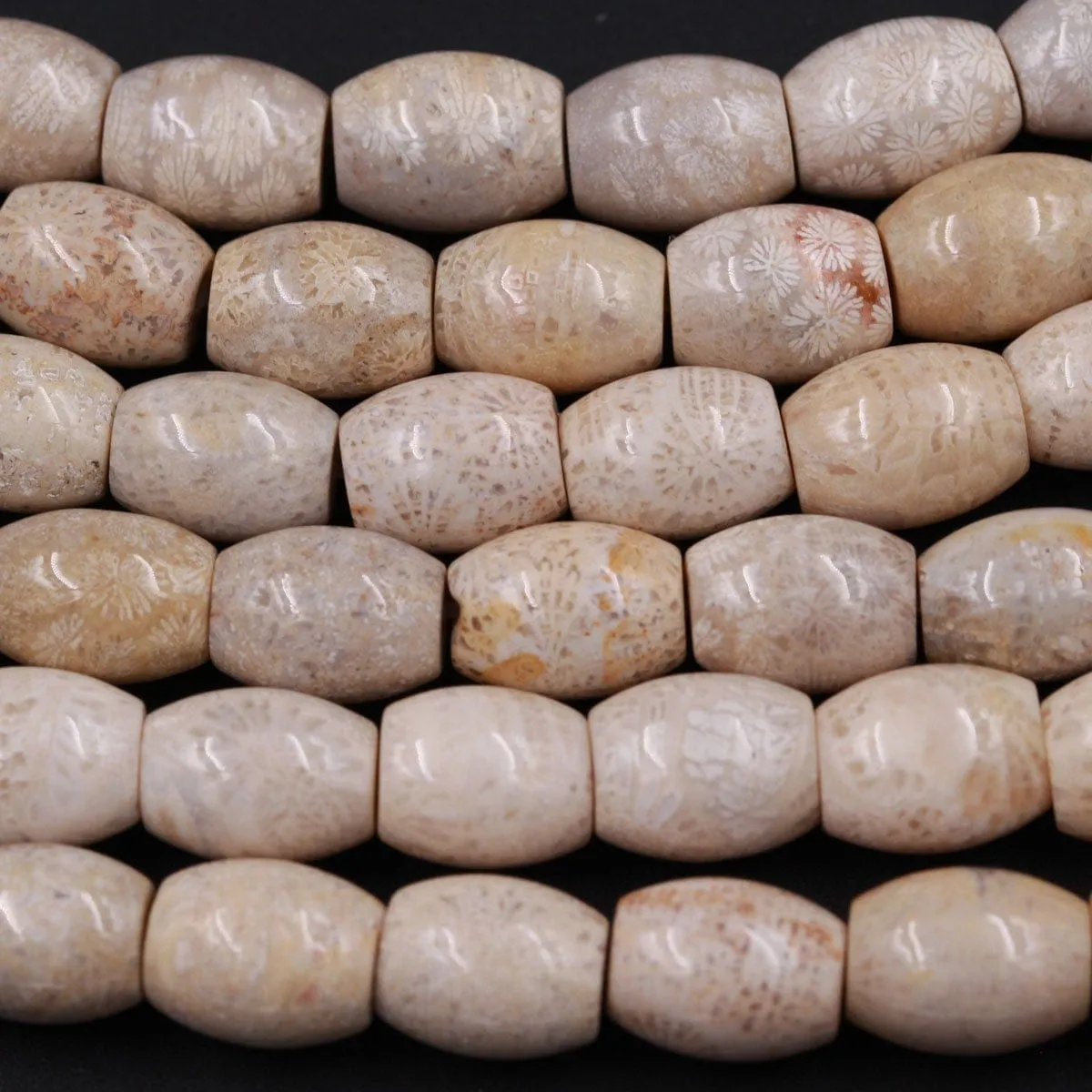 A Grade Natural Fossil Coral Smooth Cylinder Tube Beads 10mm x 8mm Beads Neutral Beige Beads 16" Strand