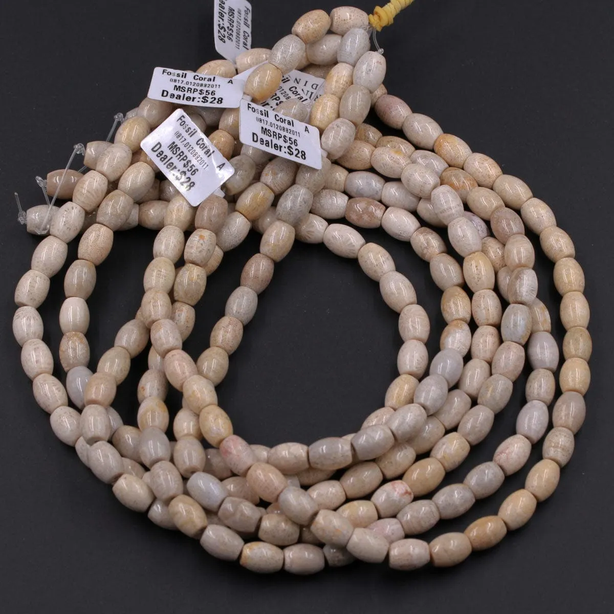 A Grade Natural Fossil Coral Smooth Cylinder Tube Beads 10mm x 8mm Beads Neutral Beige Beads 16" Strand