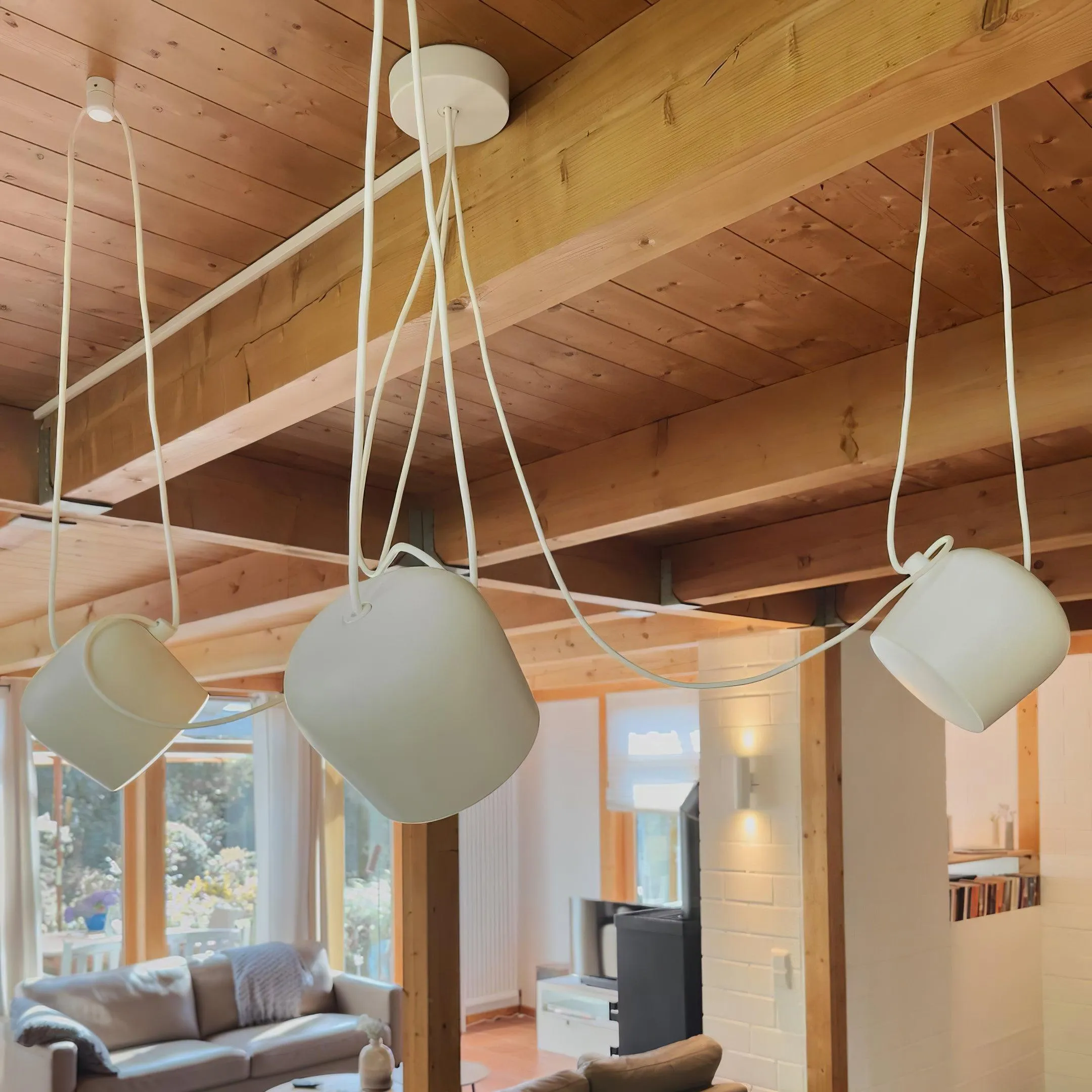 Aim Pendant Light