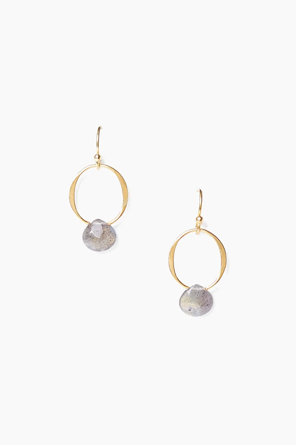 Circle Link Gold Hoops