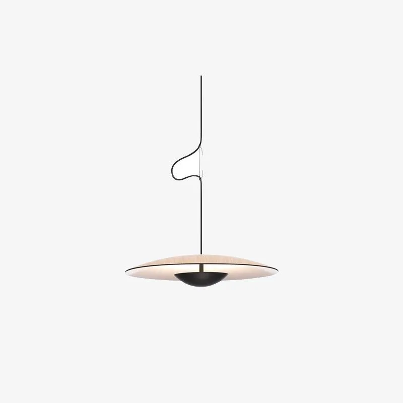 Ginger Pendant light