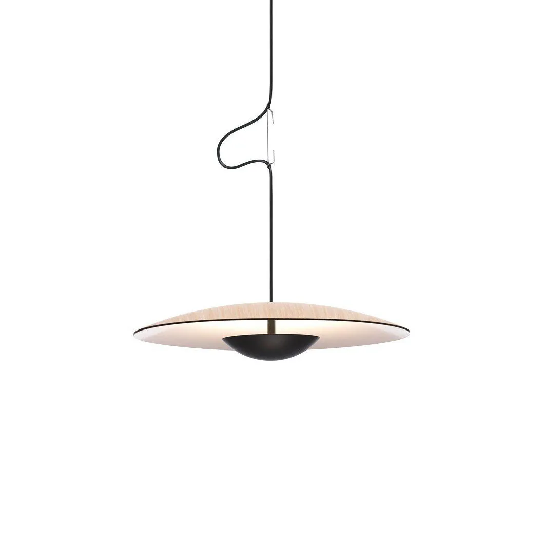 Ginger Pendant light