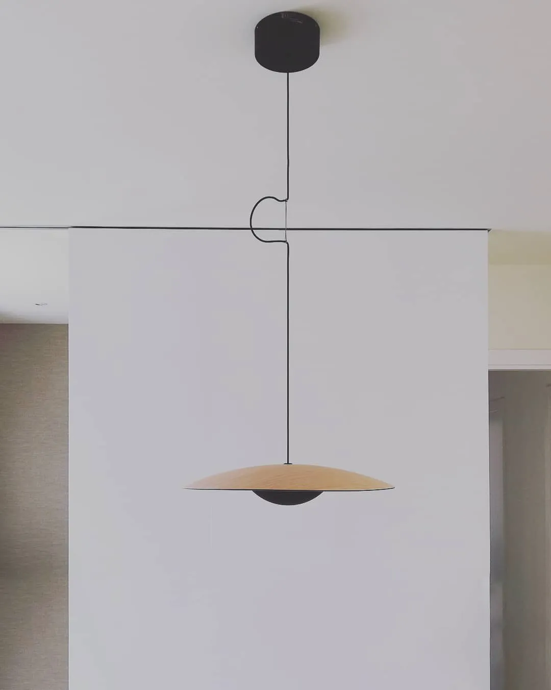 Ginger Pendant light