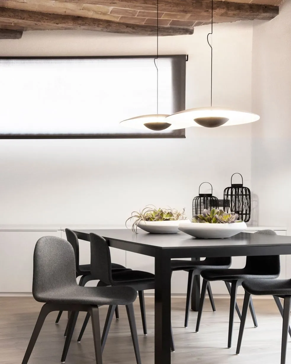 Ginger Pendant light